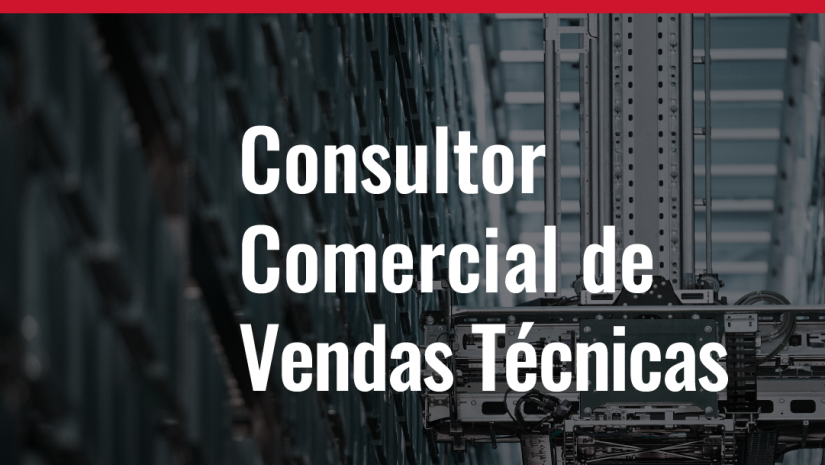 Consultor Comercial para Vendas Técnicas | Vi